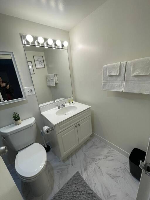 Charming Apartment At Crystal City With Amazing Amenities Арлингтон Экстерьер фото